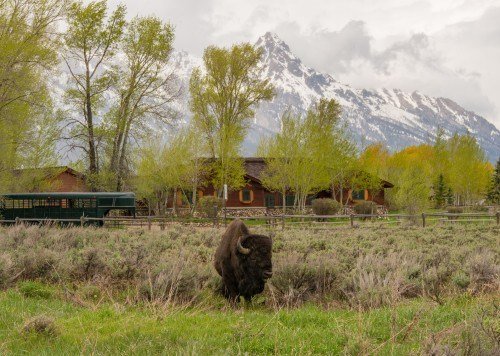 grand teton cabin rentals